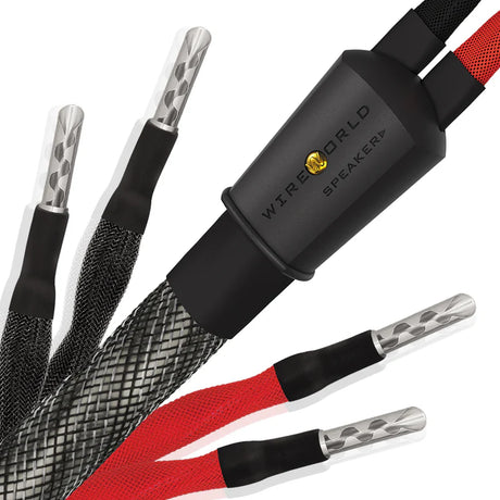 Wireworld Silver Eclipse 10 Speaker Cables